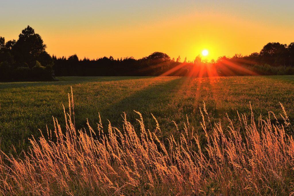 backlit cropland dawn 1237107